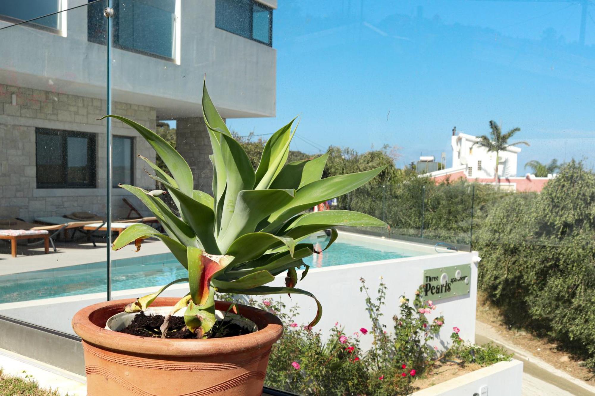Dempla Cream Cozy Getaway - 3 Pearls Pool Retreat 아파트 외부 사진